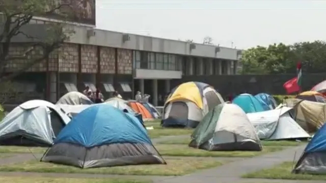 Estudiantes de la UNAM instalaron un campamento en solidaridad con Palestina. Foto: N+