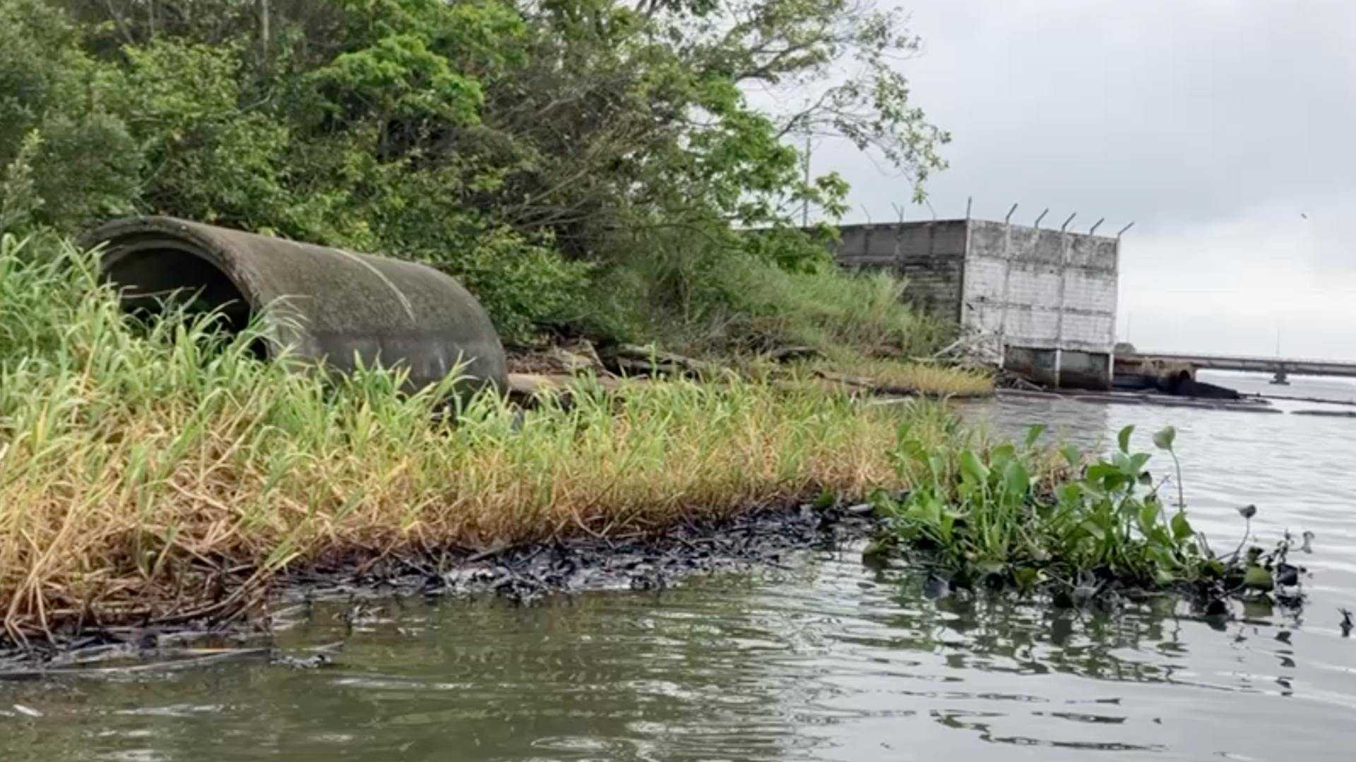 En un recorrido realizado se constataron manchas del combustible en el río, lirio impregnado, anguilas muertas, pelícanos y cangrejos con el líquido.