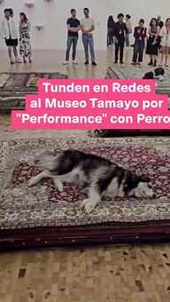 Fotos: Tunden en Redes al Museo Tamayo por "Performance" con Perros