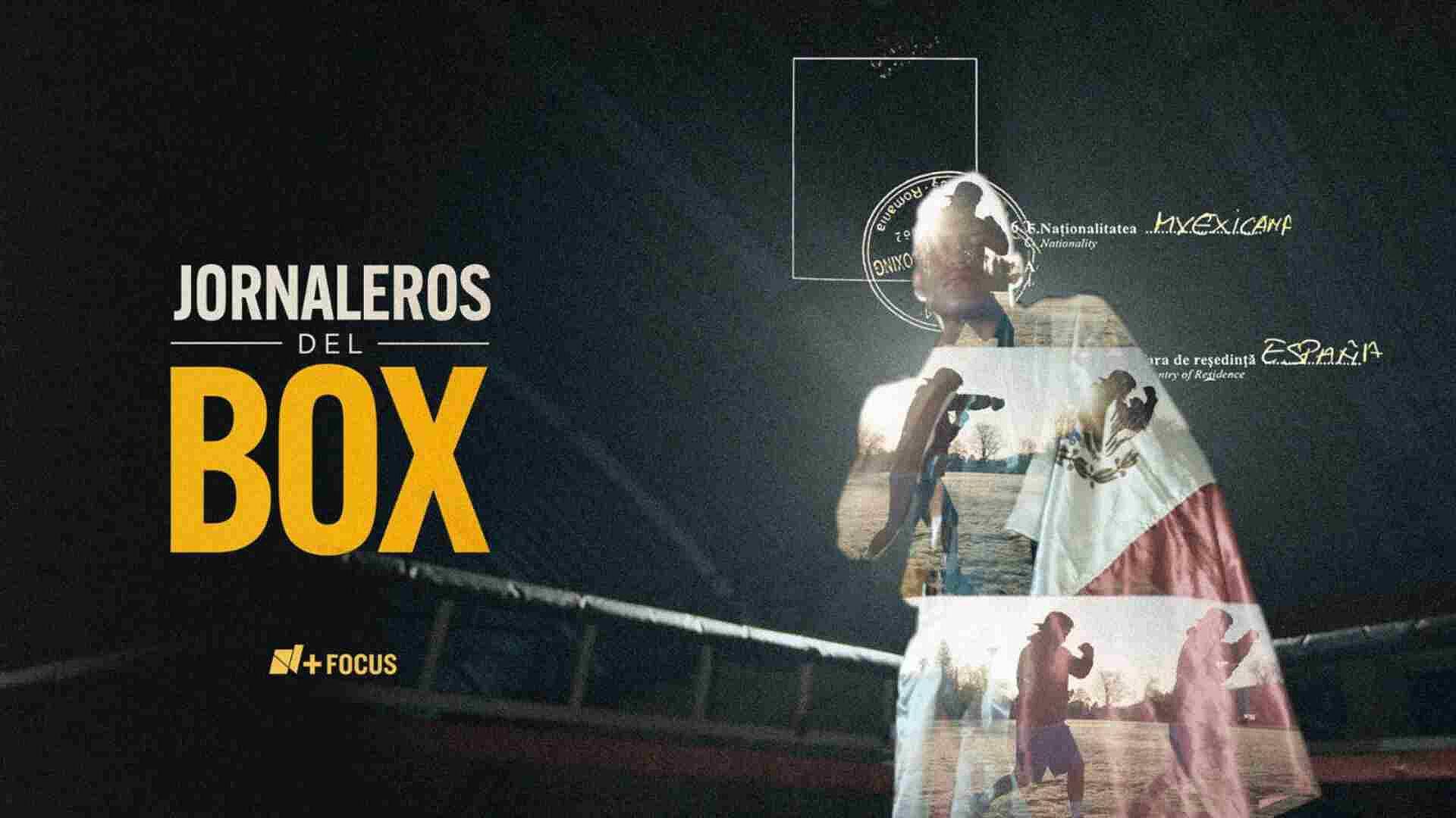 Foto: Jornaleros del Box