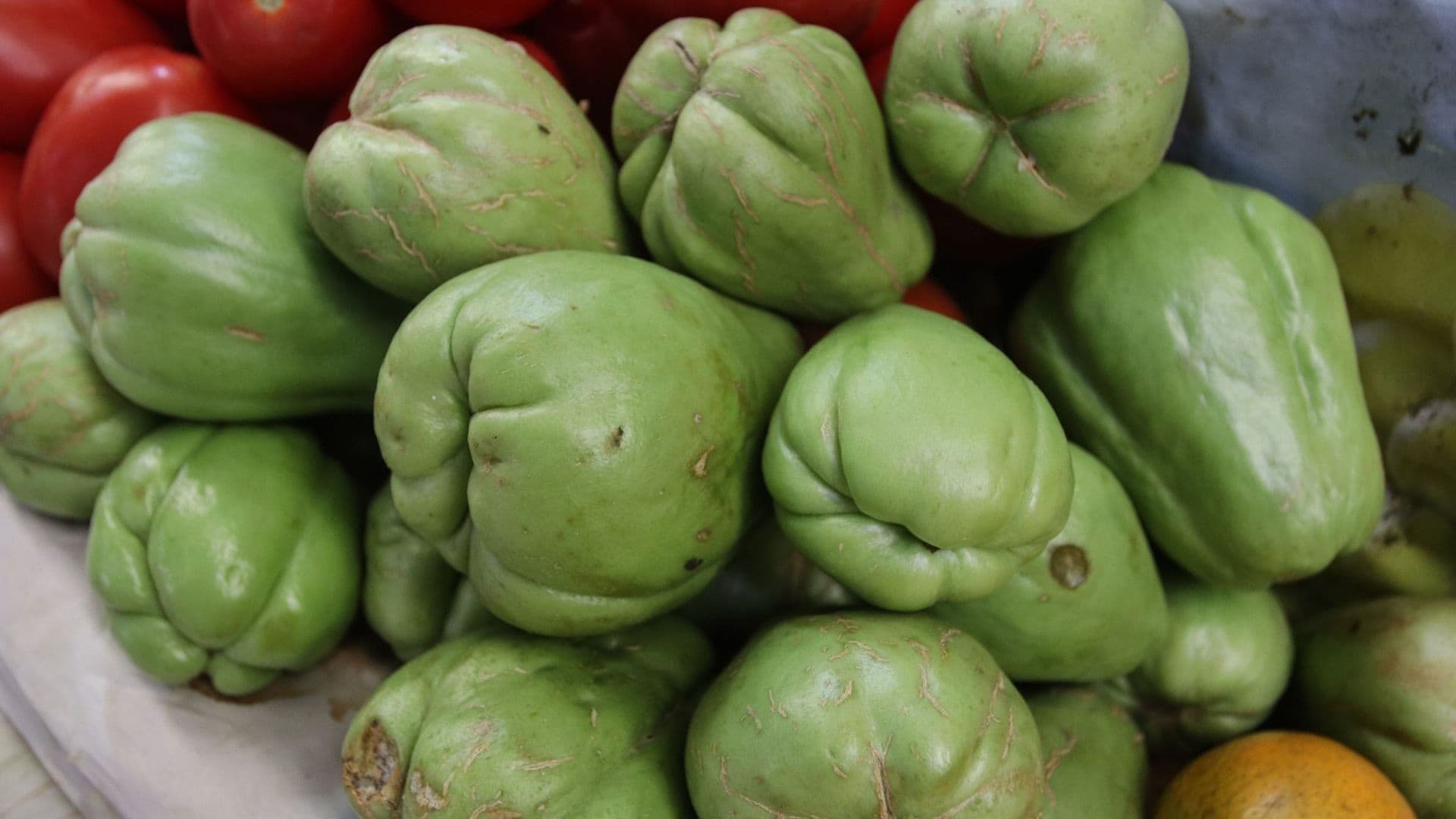 Chayote mexicano. Foto: Cuartoscuro/ Archivo