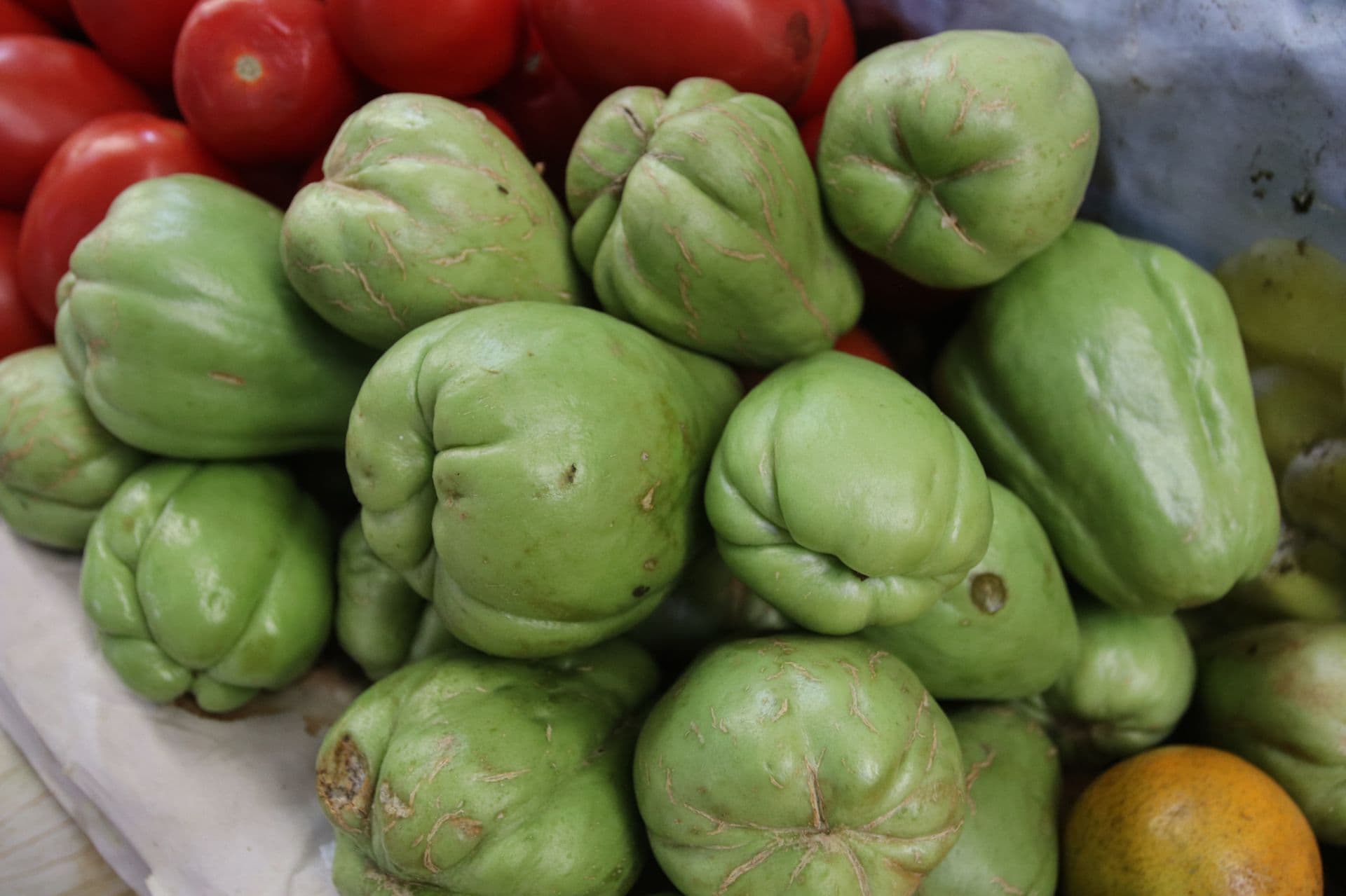 Chayote mexicano. Foto: Cuartoscuro/ Archivo