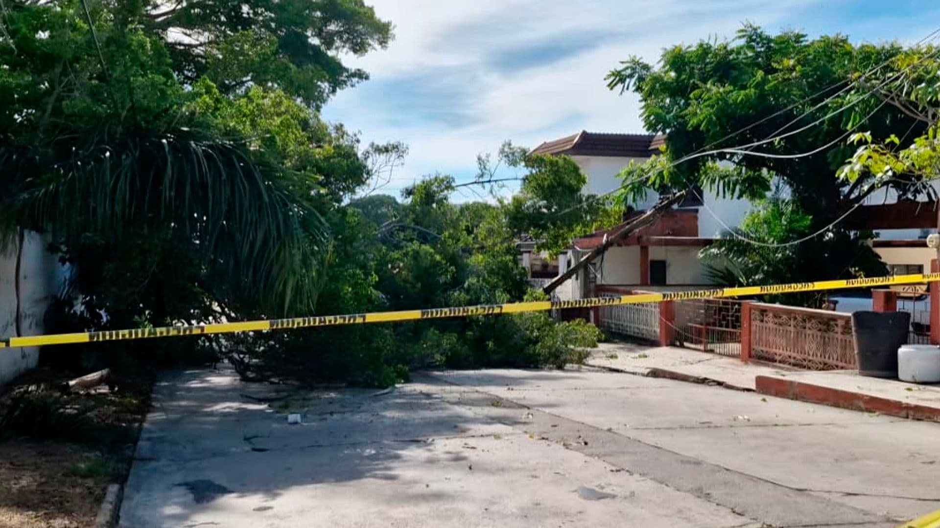 Árbol de Gran Tamaño cae Sobre Vivienda y Provoca Corte de Energía Eléctrica en Tampico