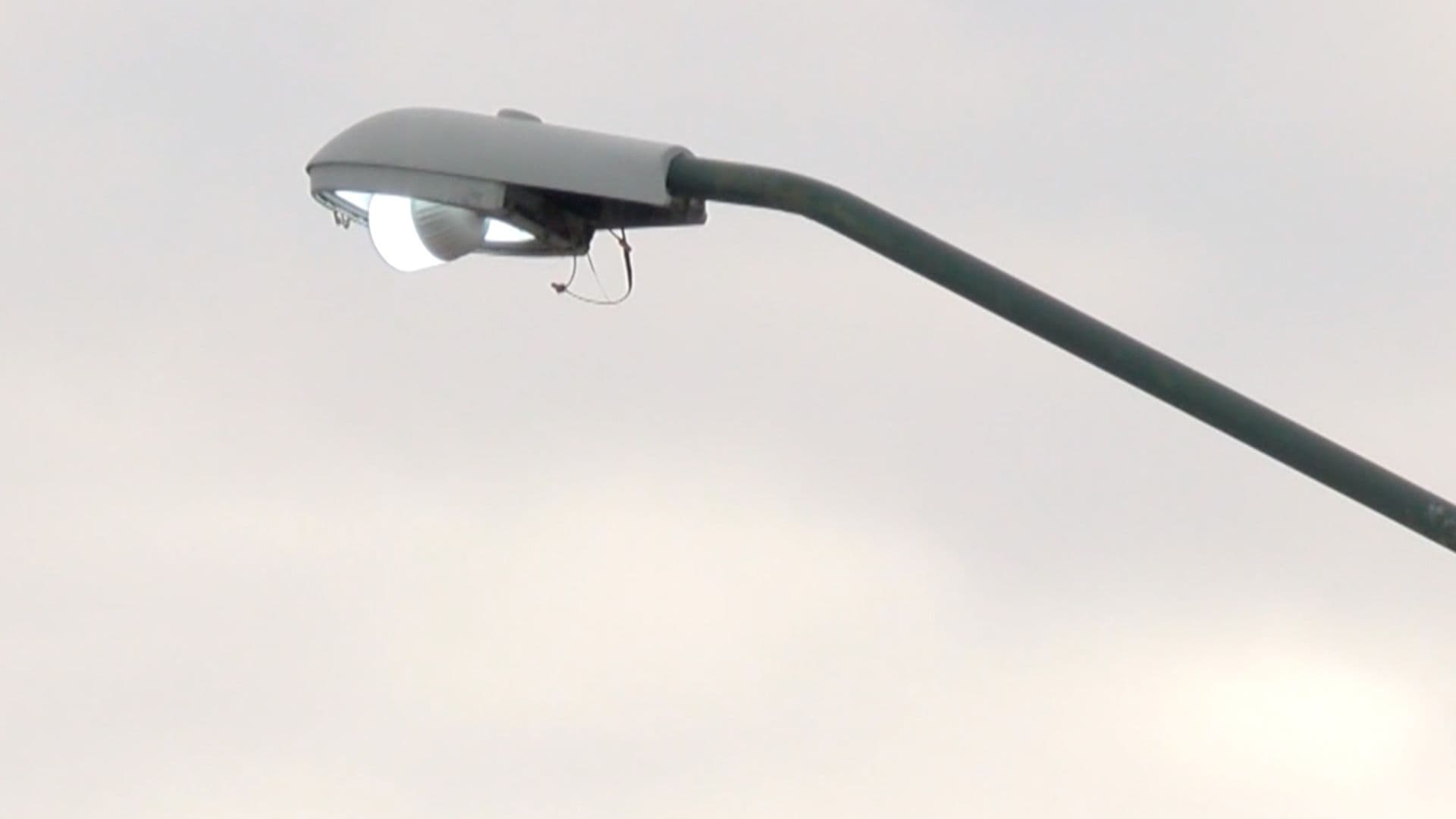 Continúa el Robo de Cableado de Alumbrado Público en Ciudad Victoria