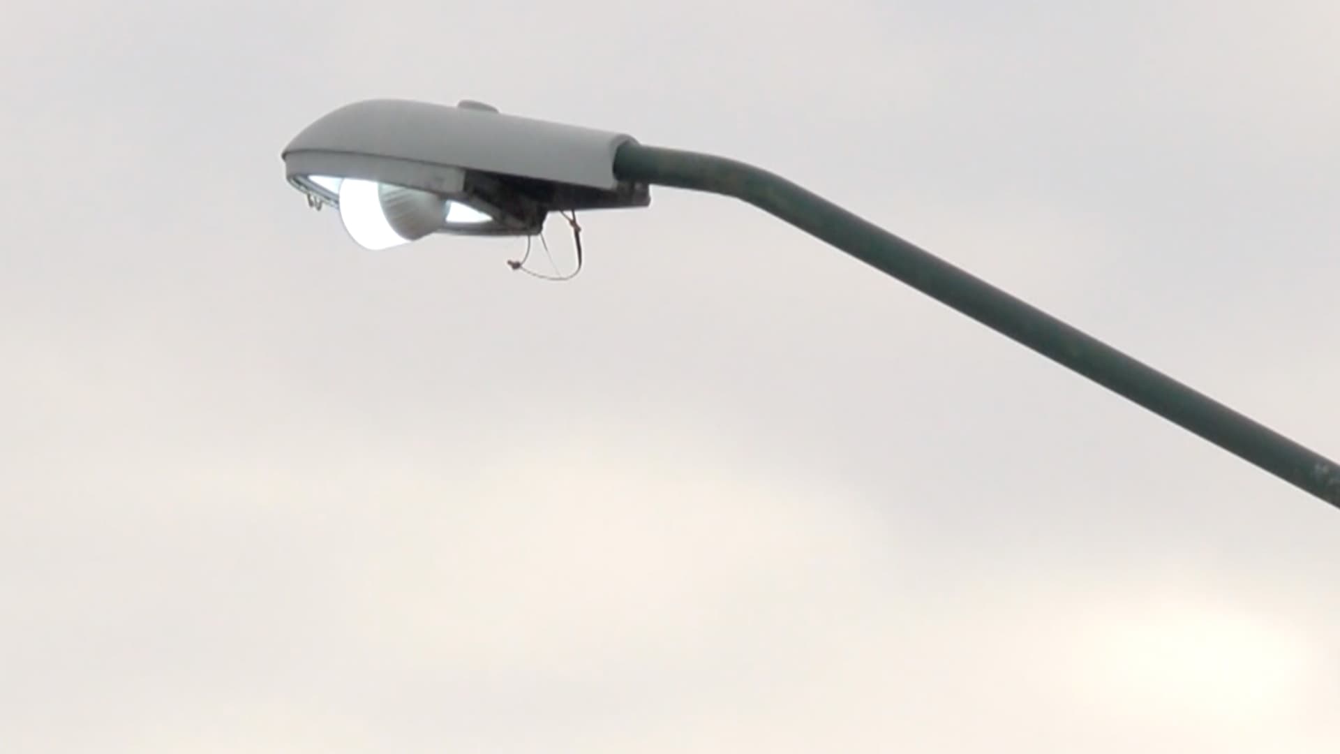 Continúa el Robo de Cableado de Alumbrado Público en Ciudad Victoria