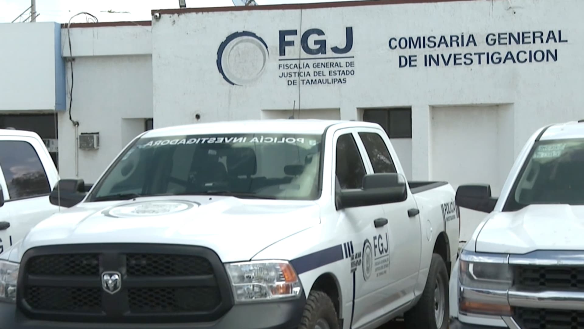 Continúa Juicio por Caso de Maltrato a Mapache en Matamoros, Tamaulipas