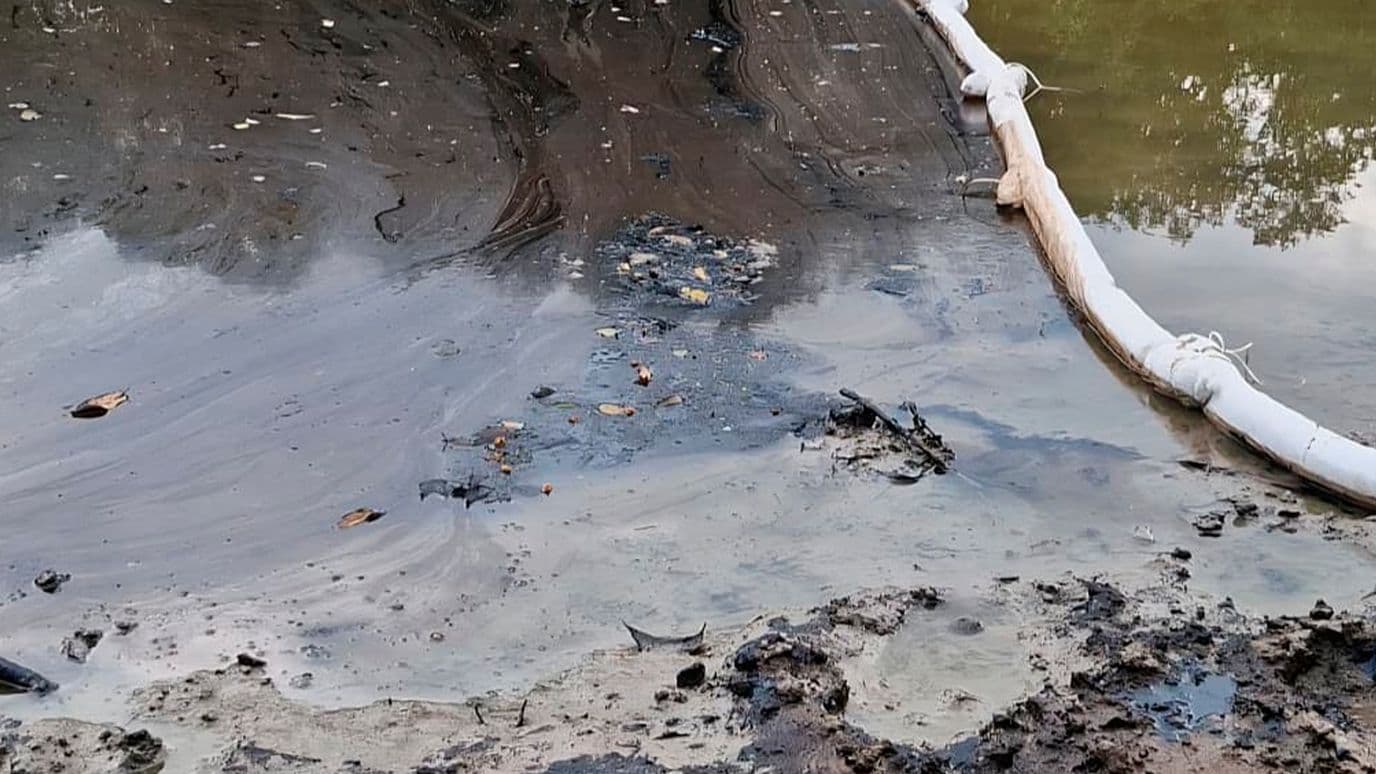Detectan Hidrocarburo en Ríos de Altamira; Pemex Inicia Labores de Retiro