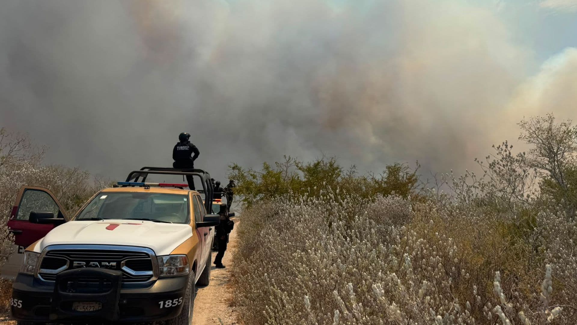 Incendio en Pastizal Moviliza a Guardia Estatal en Jiménez, Tamaulipas