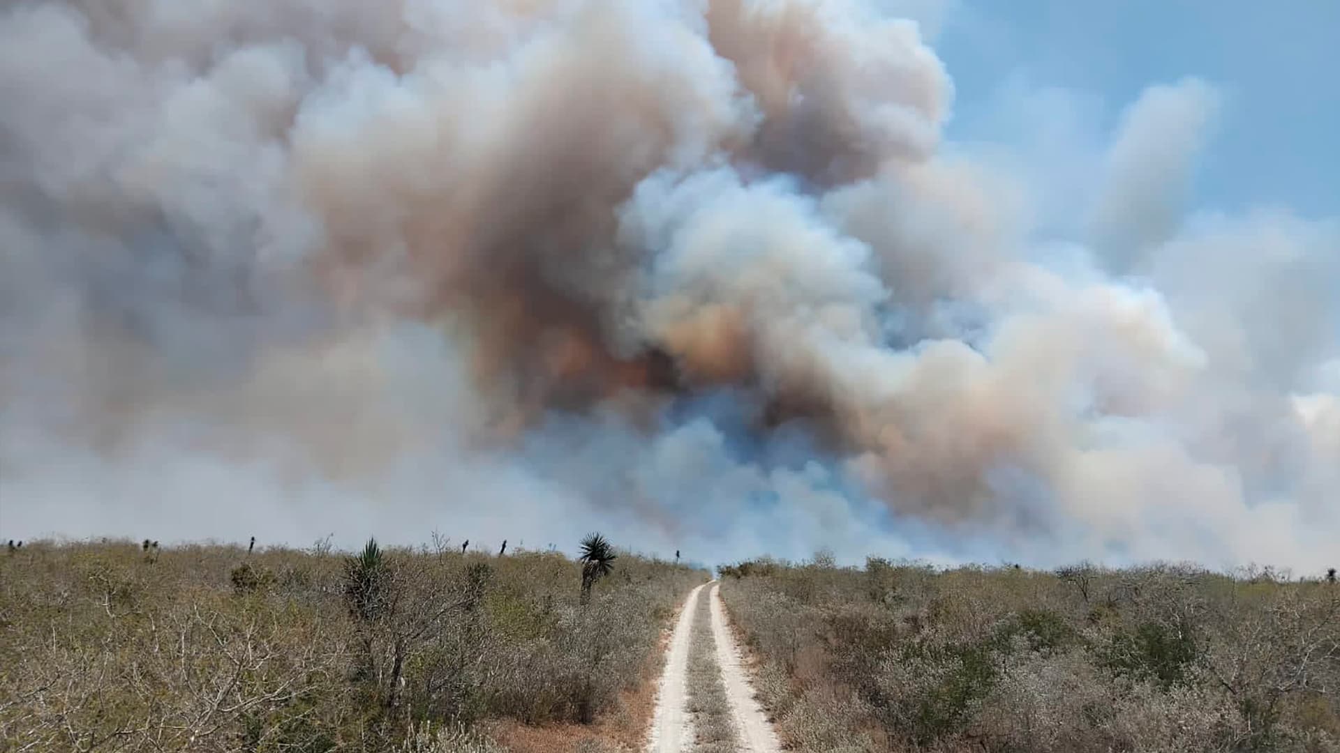 Incendio en Pastizal Moviliza a Guardia Estatal en Jiménez, Tamaulipas