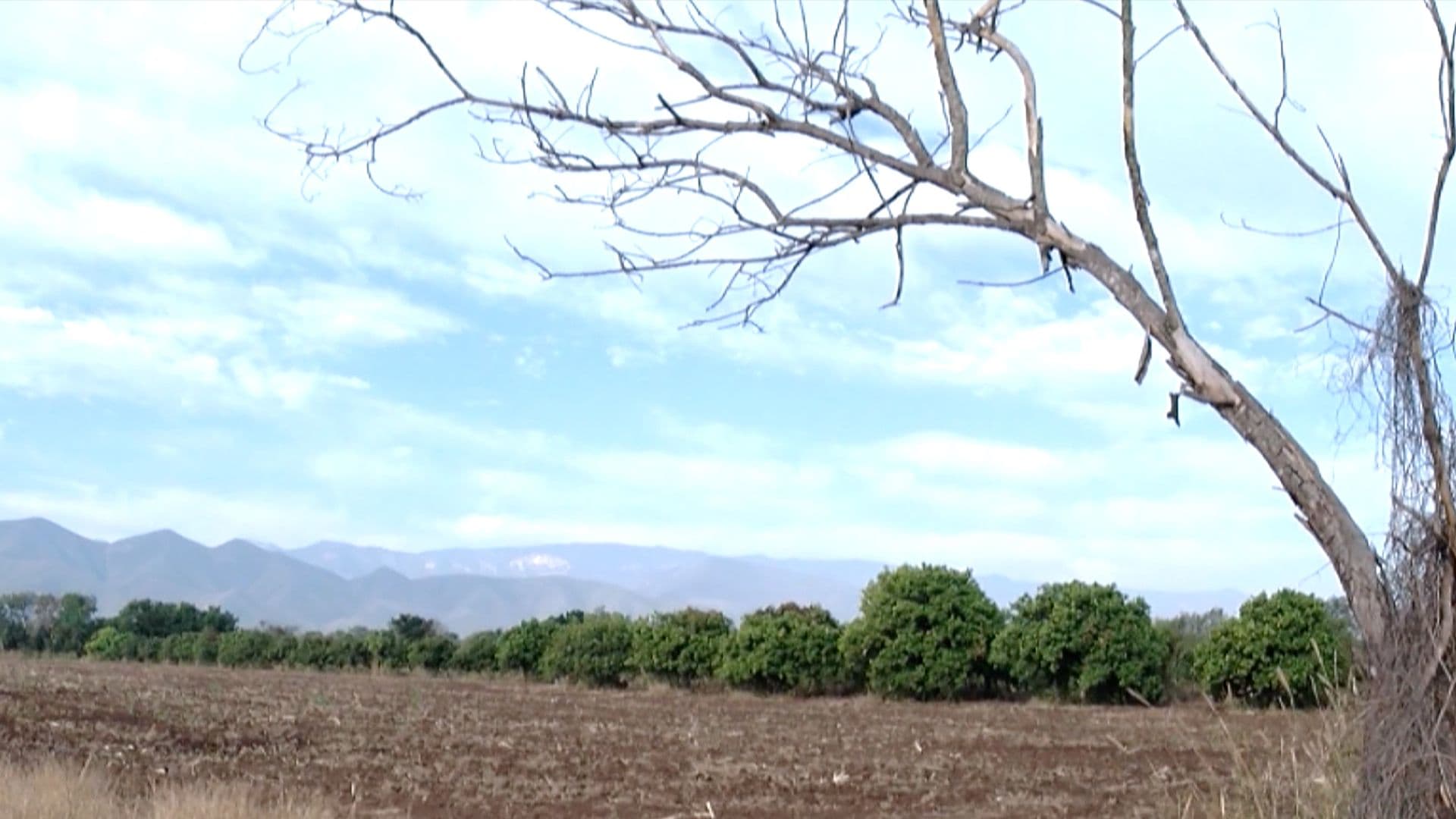 Sequía Regresa a Tamaulipas, Afectando Principalmente la Franja Fronteriza