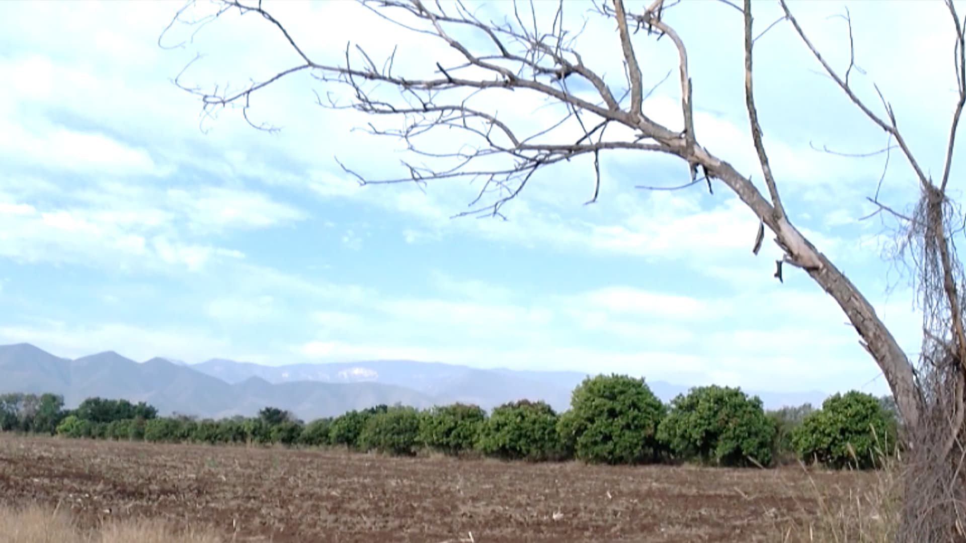 Sequía Regresa a Tamaulipas, Afectando Principalmente la Franja Fronteriza