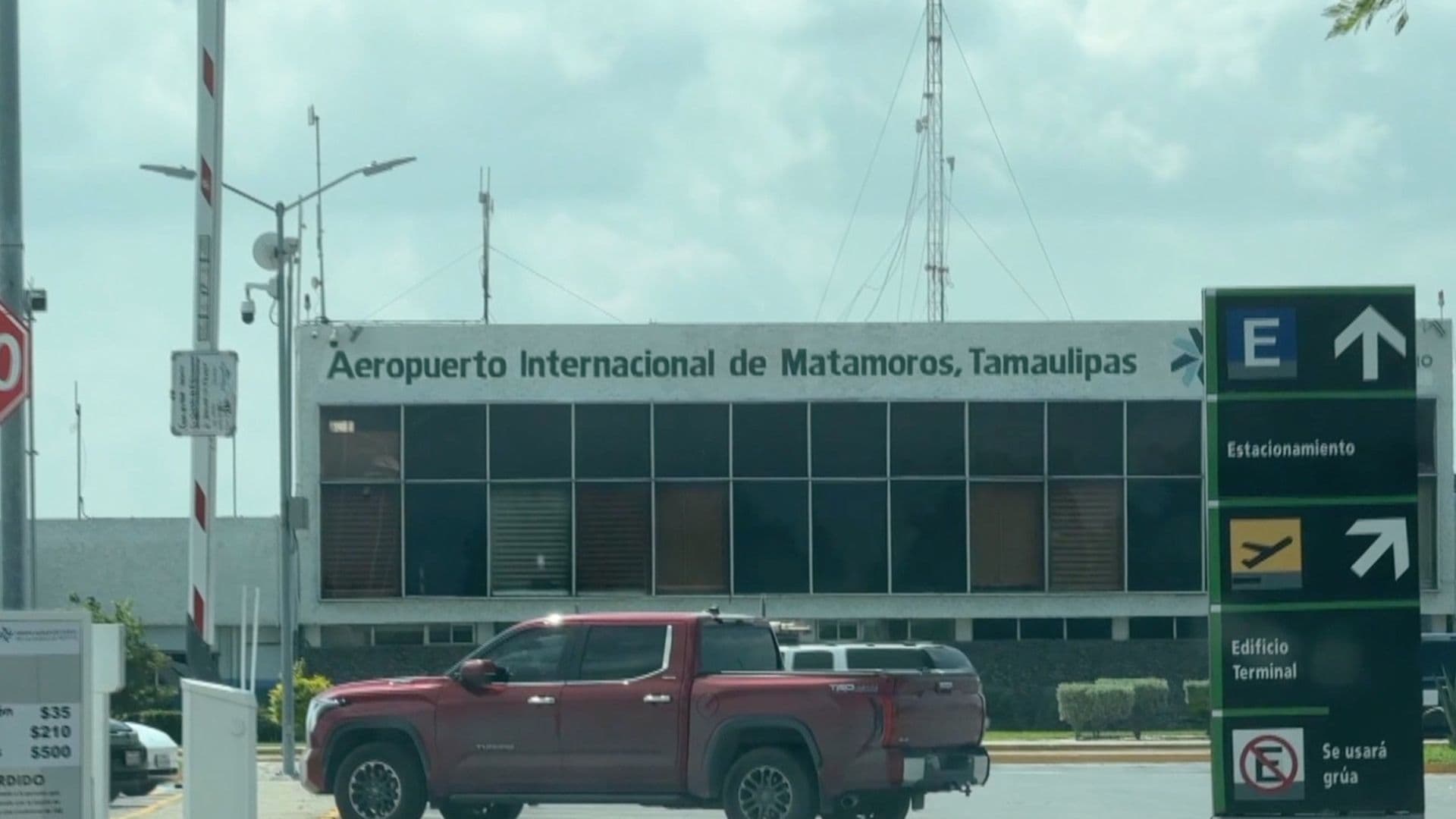 Aseguran 350 Tortugas en el Aeropuerto de Matamoros; Investigan Presunto Tráfico Ilegal