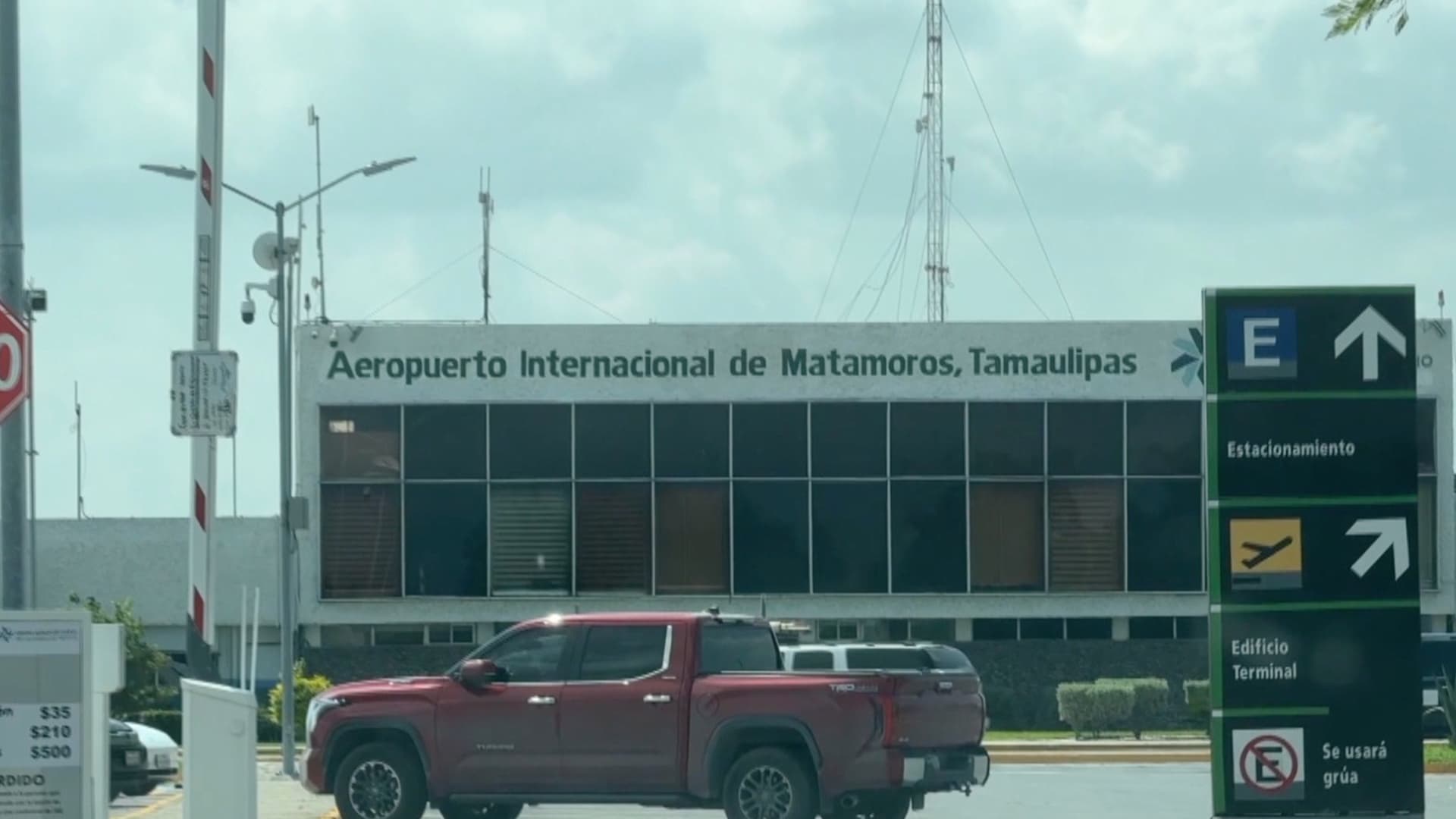 Aseguran 350 Tortugas en el Aeropuerto de Matamoros; Investigan Presunto Tráfico Ilegal