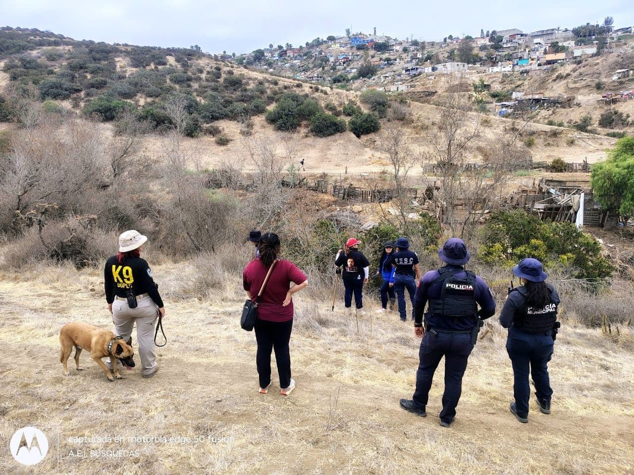 Localizan Dos Osamentas Humanas Durante Búsqueda en El Sauzal, Ensenada