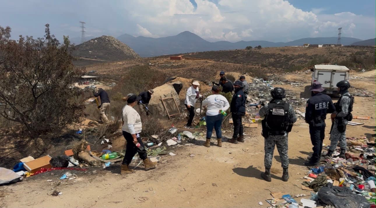Colectivo Localiza Dos Cuerpos Enterrados en Basurero Clandestino de Ensenada