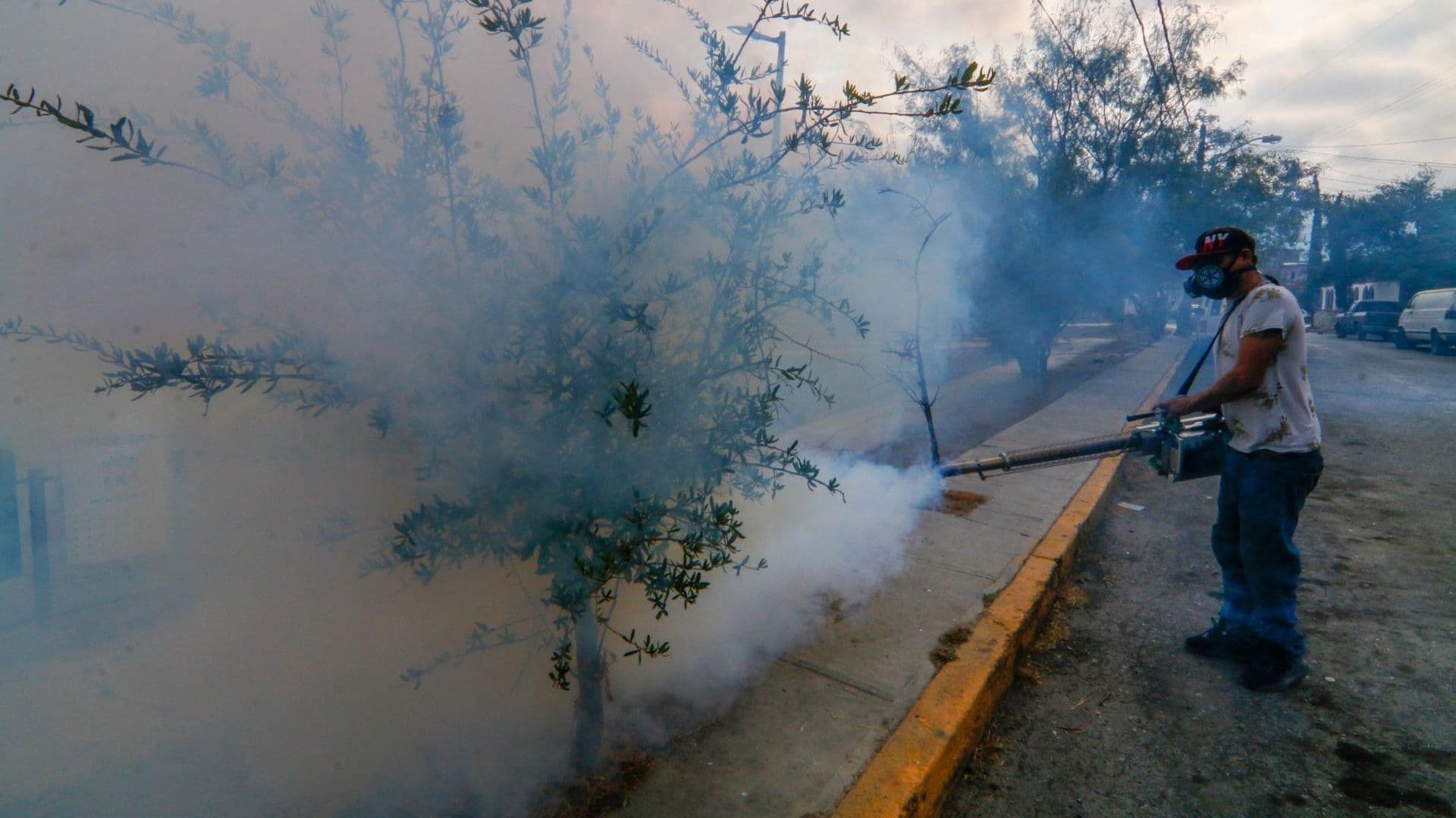 Fumigación contra el dengue en Monterrey