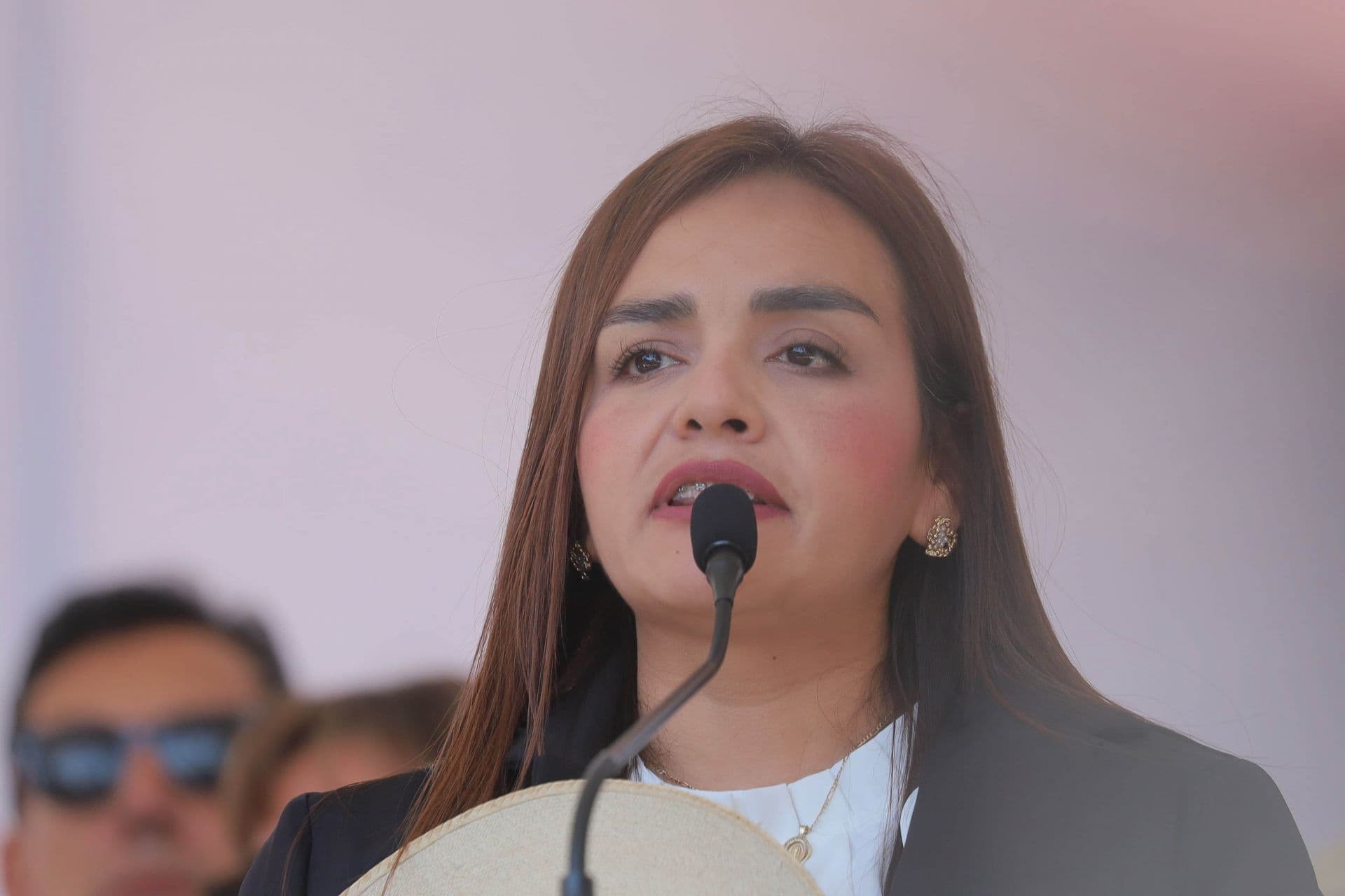 'Caiga quien Caiga, Llegaré ante las Últimas Consecuencias', Advierte Grecia Quiroz en Diputados