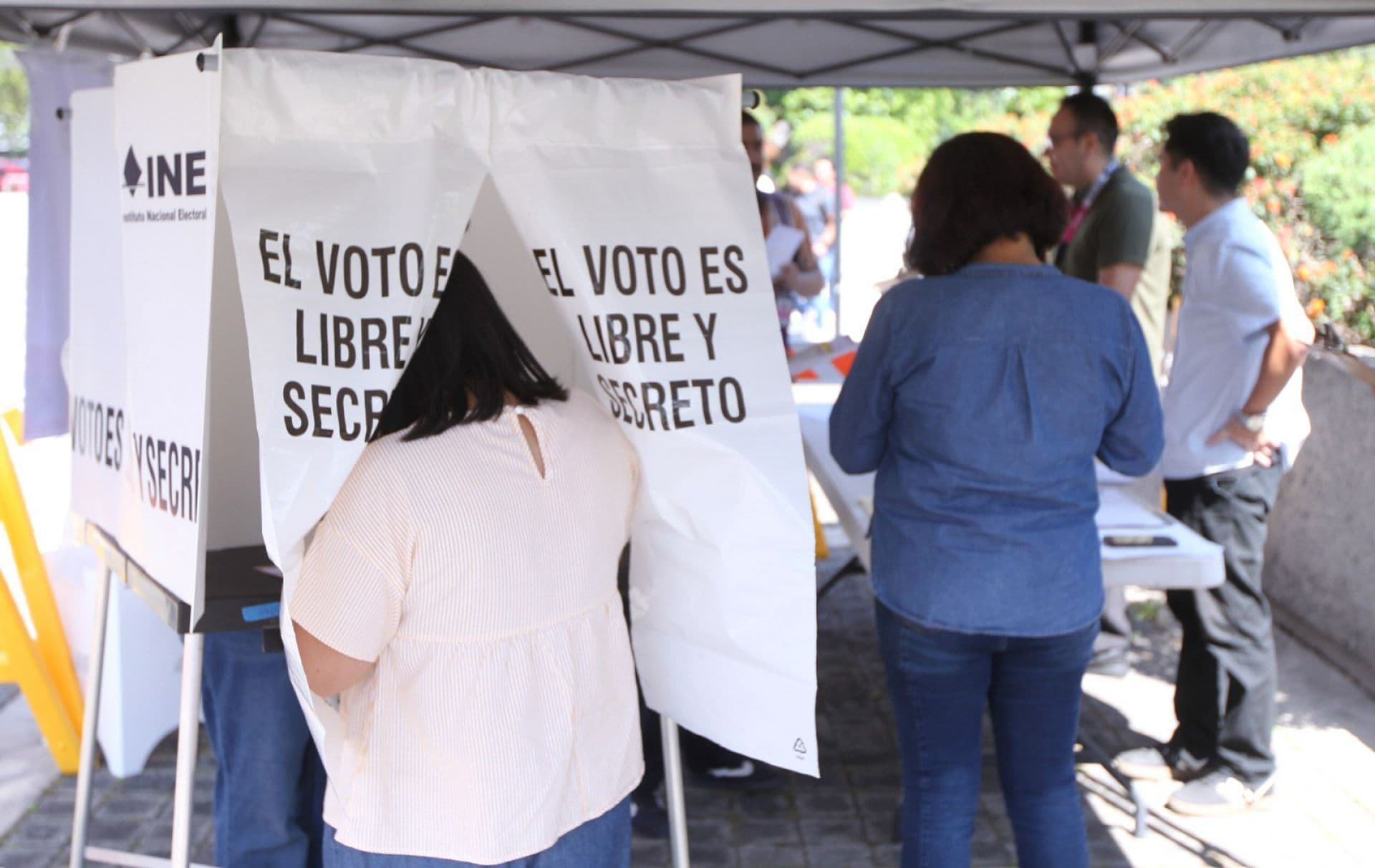 simulacro de votación
