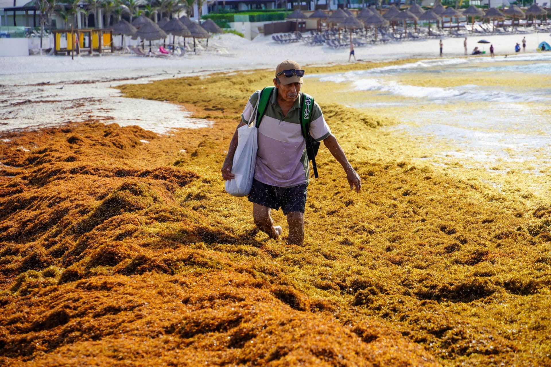 Playa Gaviota Azul, conocida como Playa Forum, amaneció hoy con sargazo