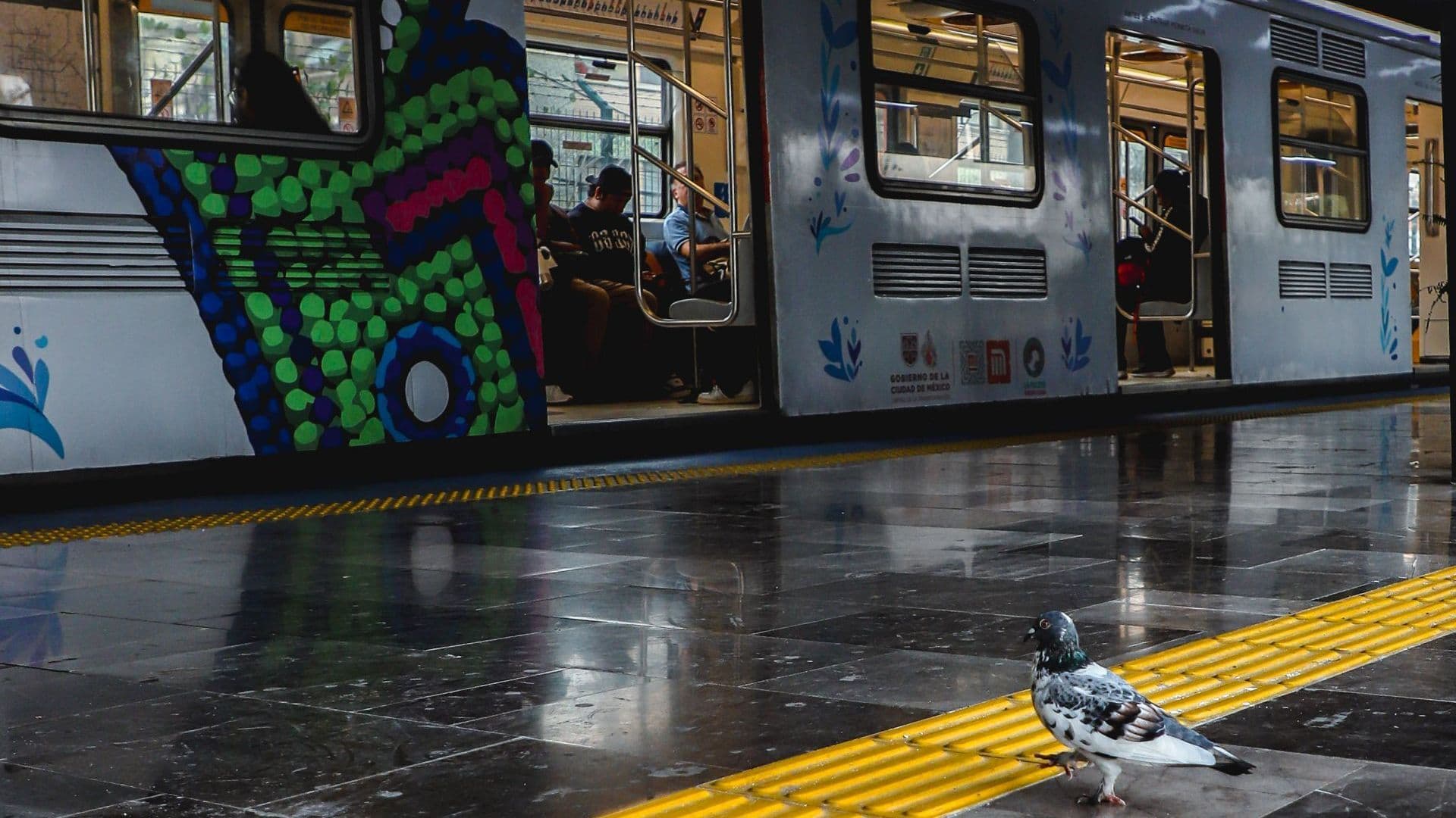 Una paloma camina sobre la franja amarilla en el andén de la estación General Anaya de la Línea 2. Foto: Cuartoscuro