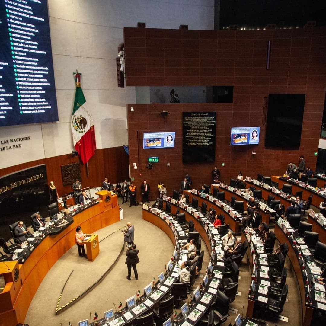 Senado Doble Nacionalidad