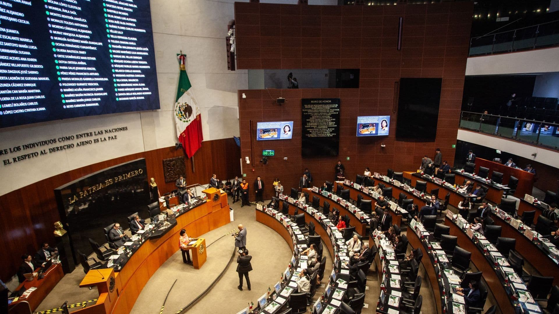 Senado Doble Nacionalidad