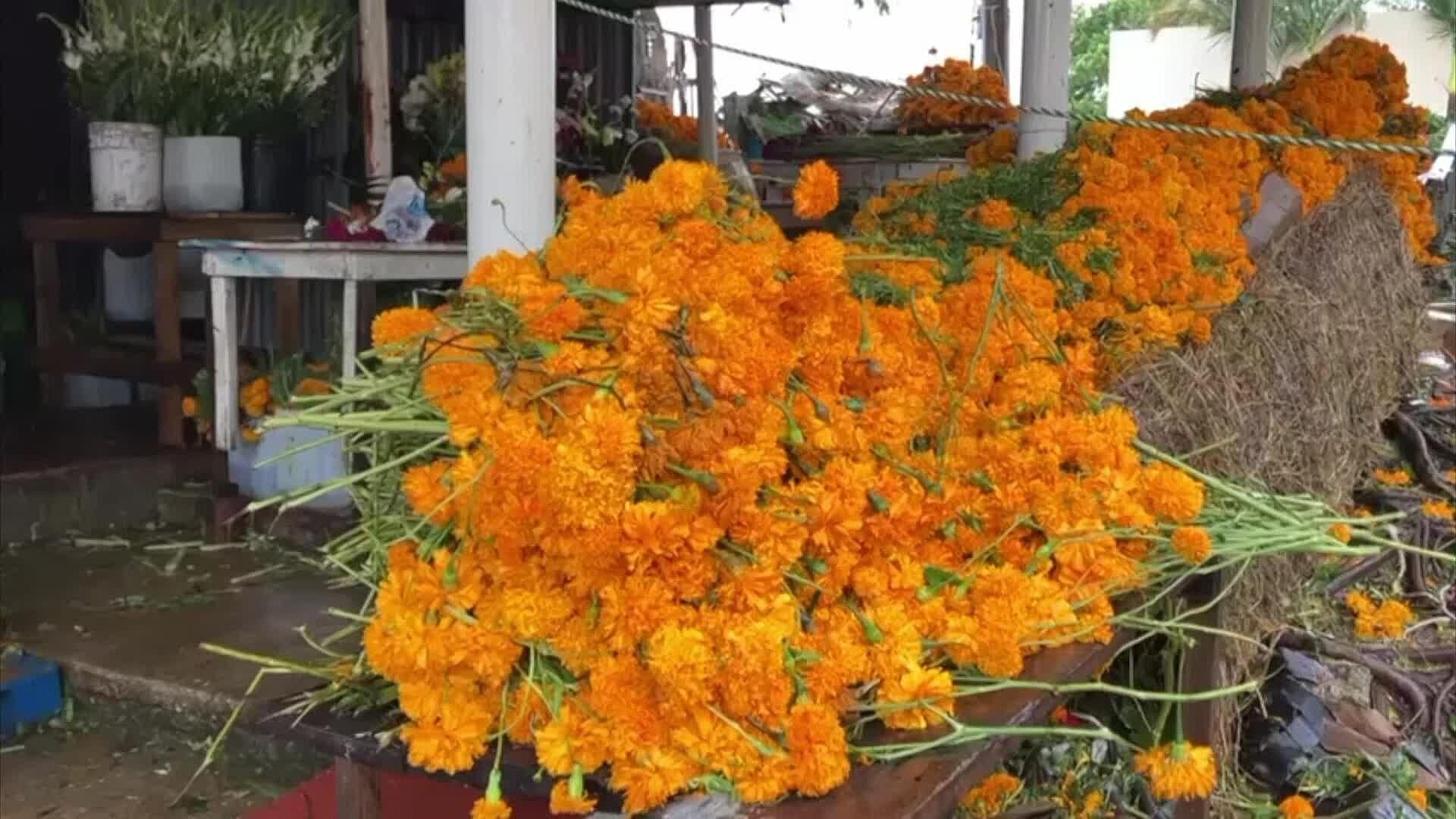 Rematan Flor de Muertos en Panteones; Reportan Pérdidas