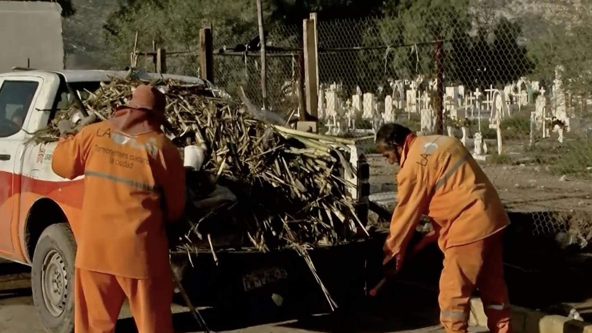 Comerciantes Dejan Más de 30 Toneladas de Basura en Panteones