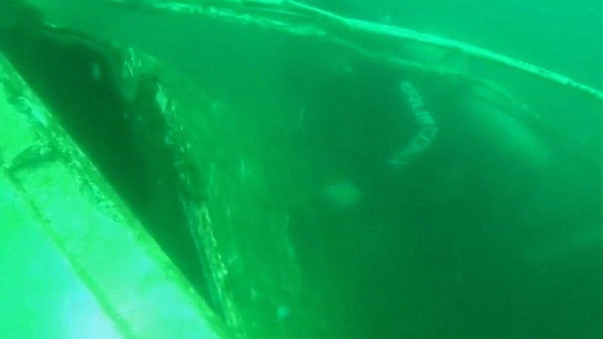 Buzos de la SSC CDMX, Recuperaron Dos Embarcaciones en Caleta