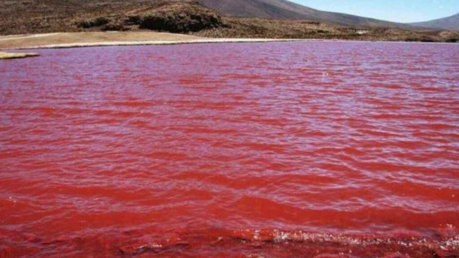 VIDEO | Río Nilo Teñido de Rojo Causa Pavor entre Pobladores