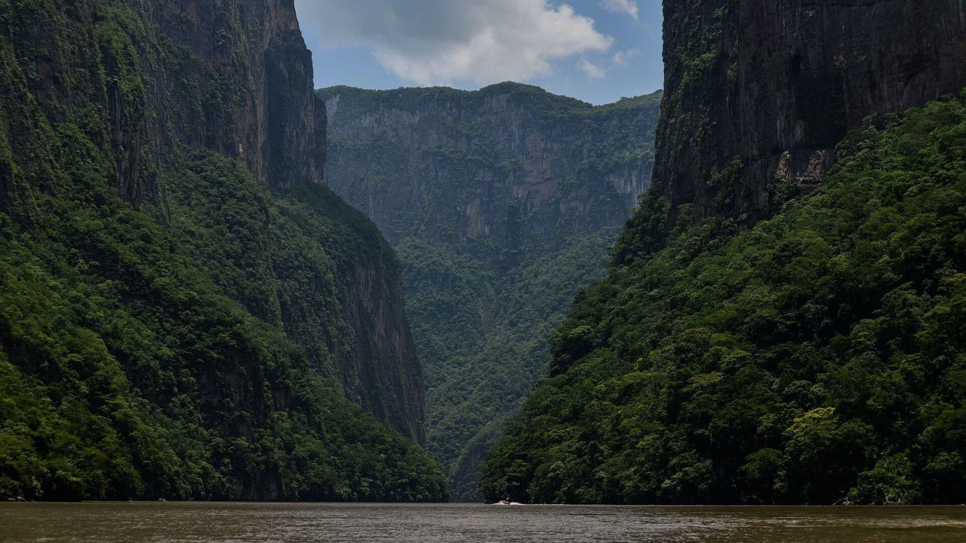 Incendio Afecta al Cañón del Sumidero en Chiapas