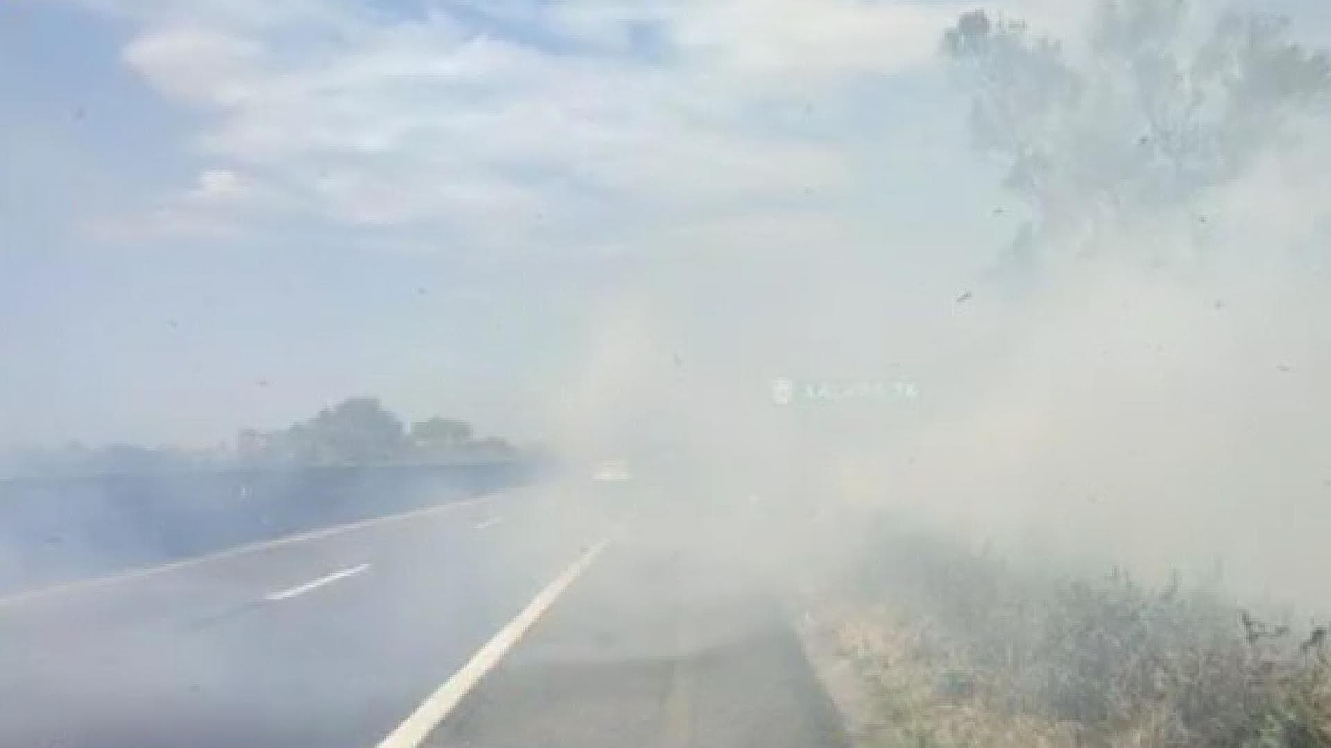 Incendio de Pastizal en La Antigua Afecta Vialidad