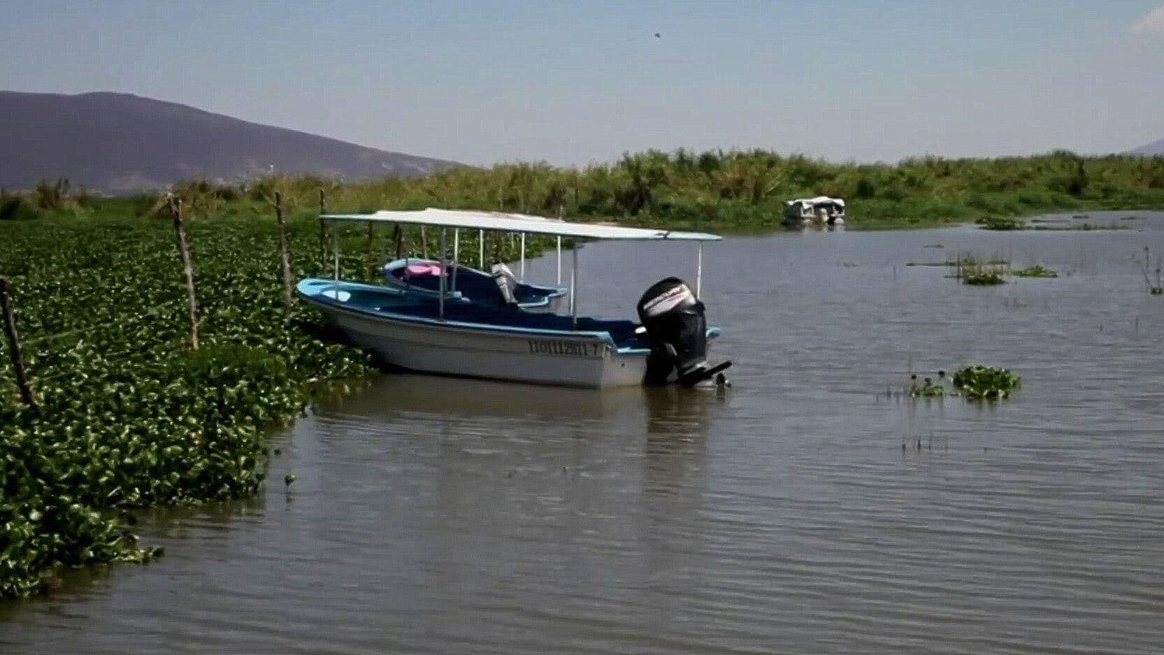 Lirio Pone en Riesgo Laguna de Yuriria en Guanajuato