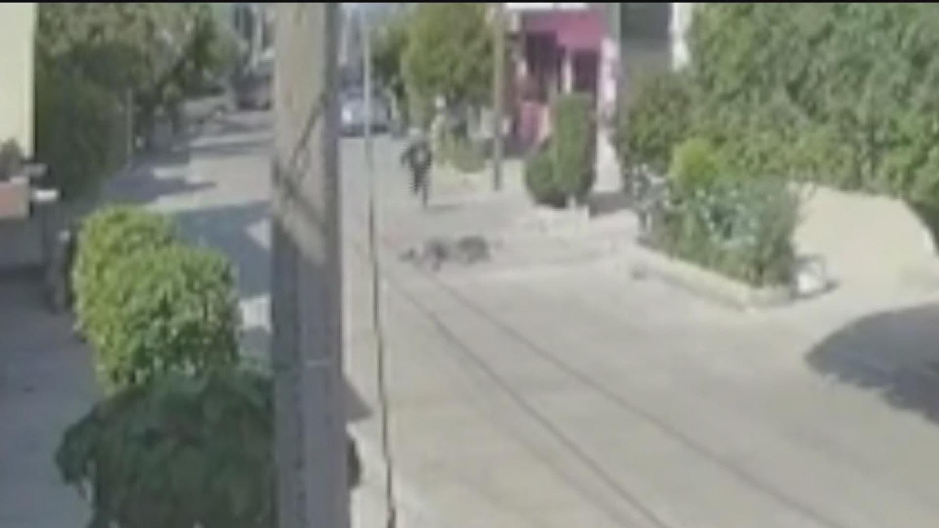 Video