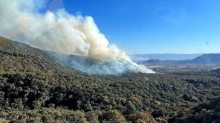 Combaten 150 Brigadistas Incendio en Paraje Volcanes, Jalisco