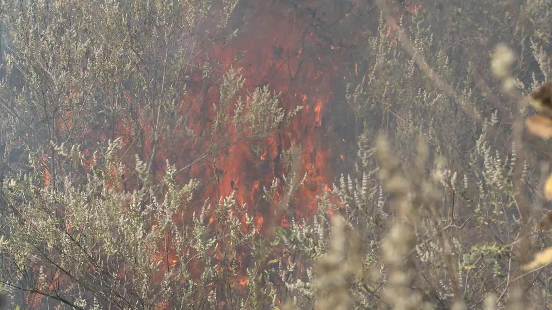 Fines agrícolas Tras Incendio del Paraje Los Volcanes