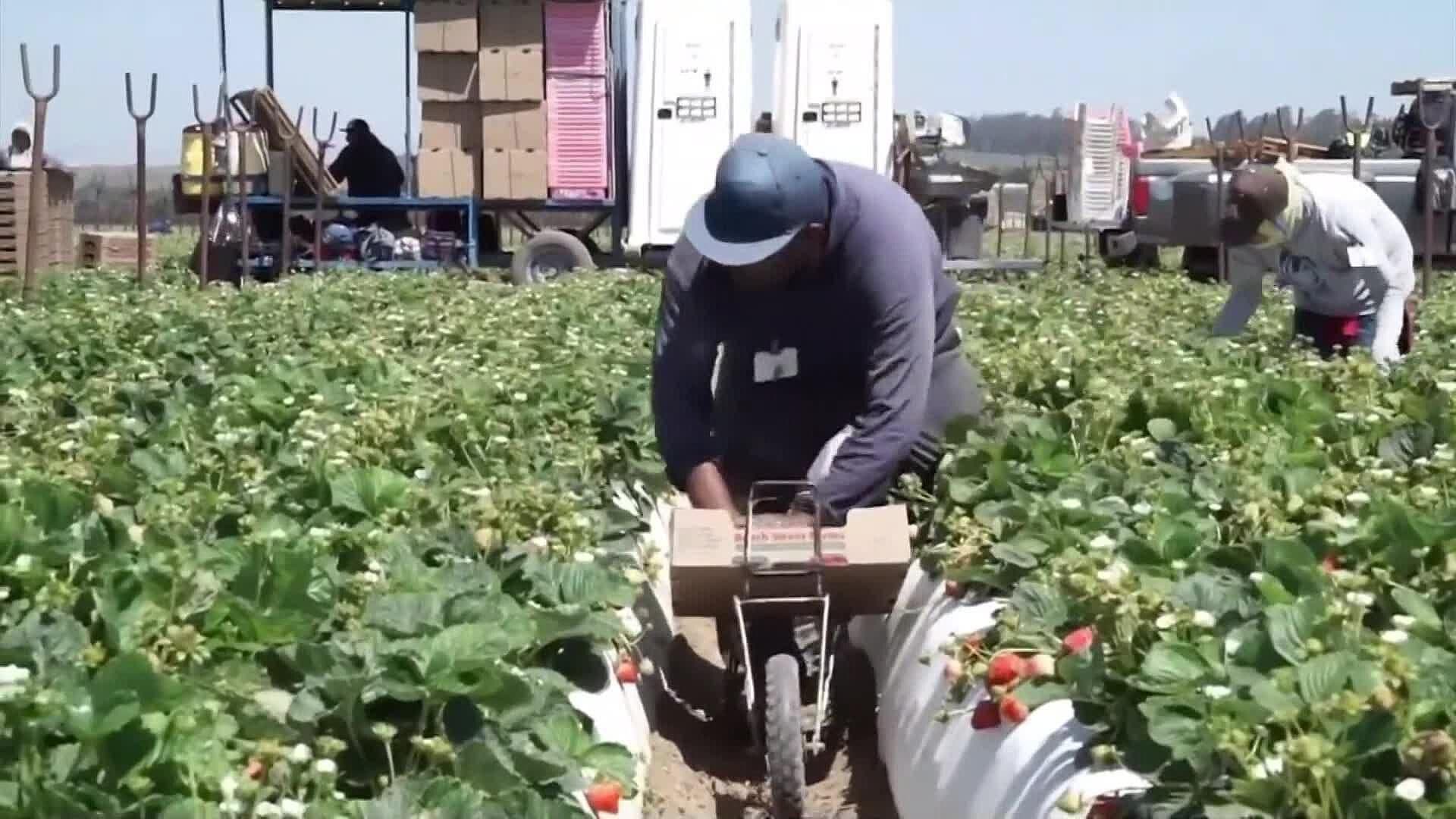 Baja el Dólar y Por Ende, Familias Con Parientes en USA Reciben Menos Ingresos