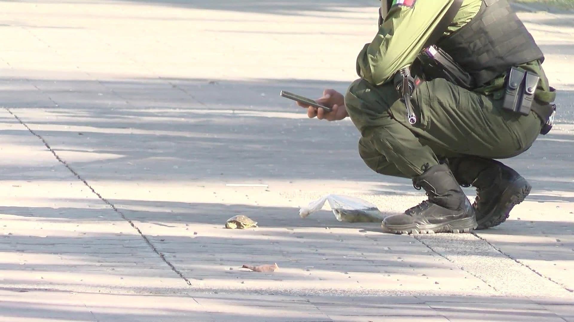 Muere Hombre en Banca del Parque Morelos; Se Encontró una Tortuga y Peces Junto a Él