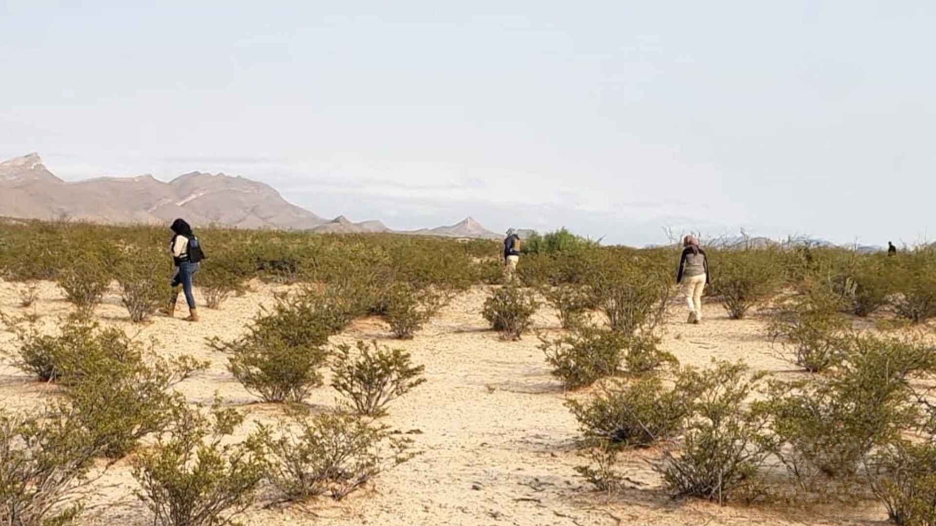 Localizan Restos Humanos Calcinados y Casquillos en el Municipio de Madera, Chihuahua