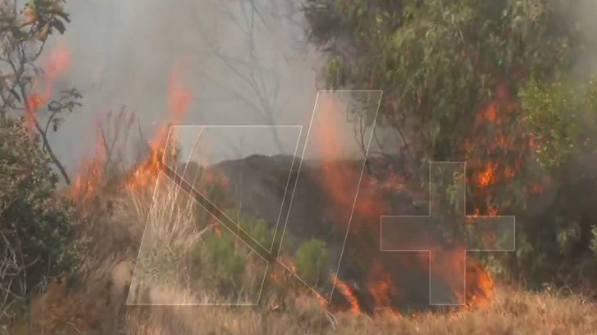 ¿Qué Pasó con el Incendio en Atizapán Hoy?: Bomberos y PC Llegan a la Zona