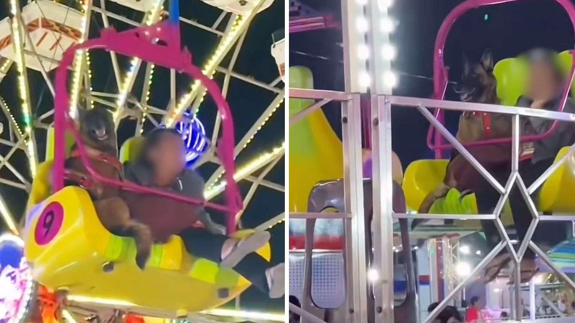 Mujer se Sube a Teleférico con su Perrito en la Feria de Valladolid, Yucatán