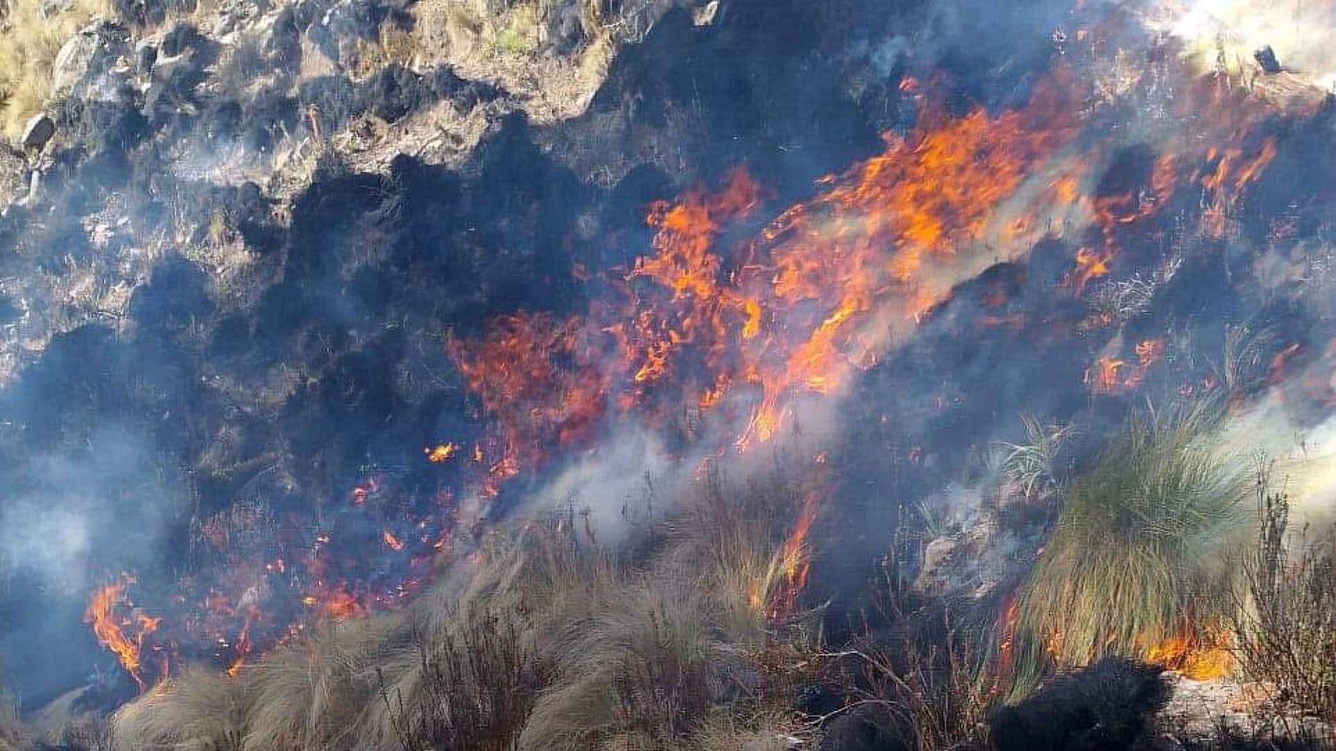 Se Registra el Primer Incendio Forestal en las Faldas del Volcán Pico de Orizaba