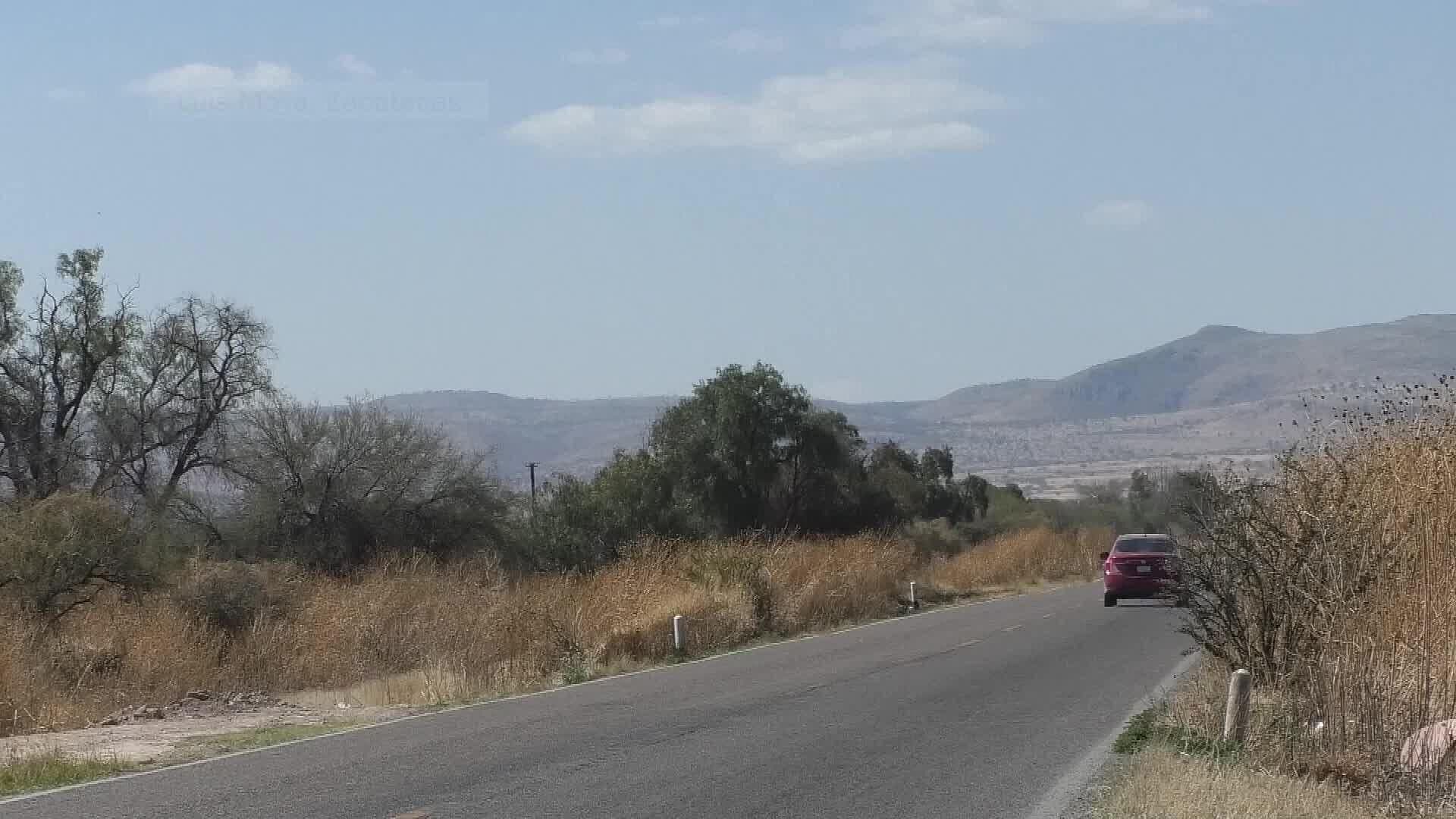 Maleza de Hasta 2 Metros de Altura en Carretera de Luis Moya, Pone en Peligro a Automovilistas