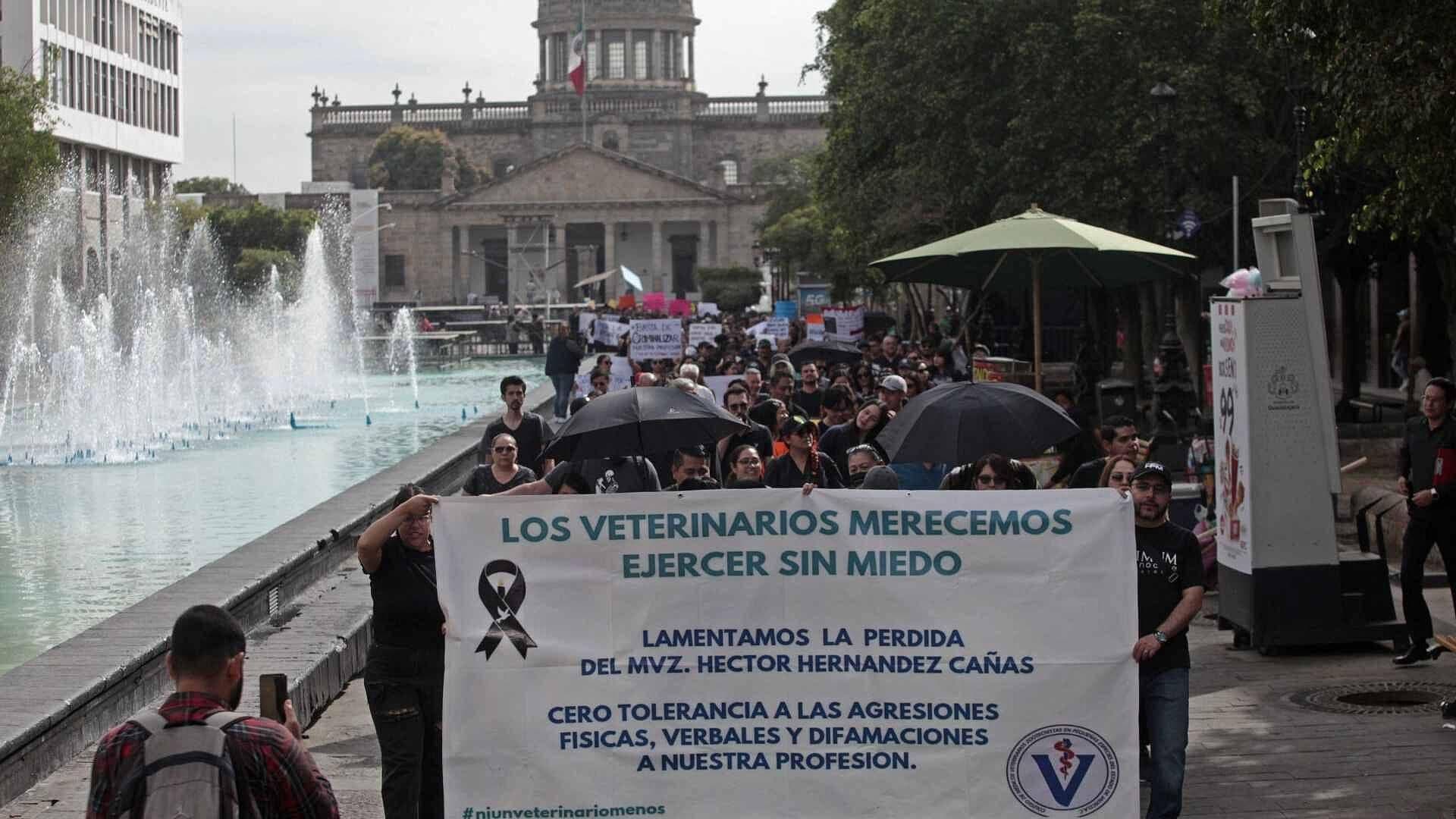 Así Fueron Manifestaciones de Veterinarios en Varios Estados por el Caso Héctor Hernández