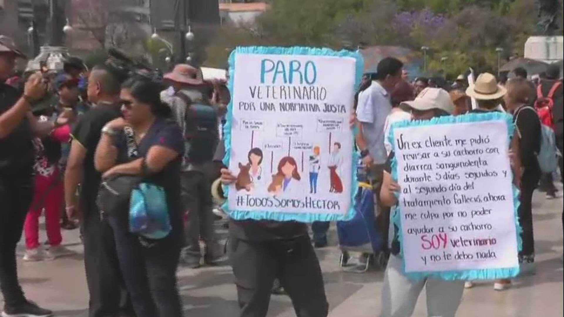 Médicos Veterinarios Protestan en Palacio de Bellas Artes; Alistan Marcha Rumbo al Senado