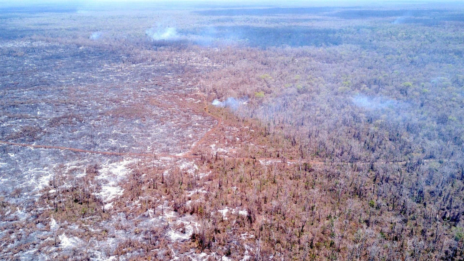 Sequía en Reserva de Calakmul Afecta a Cientos de Especies