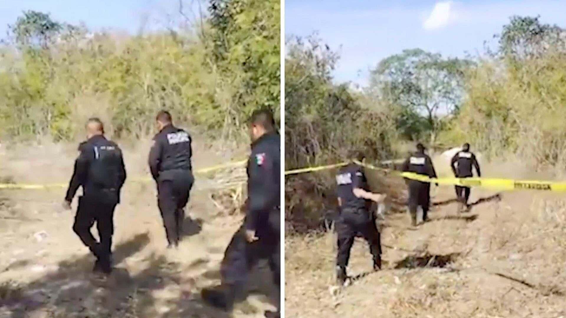 Perros Atacan a Mujer de la Tercera Edad en Puerto Progreso, Yucatán