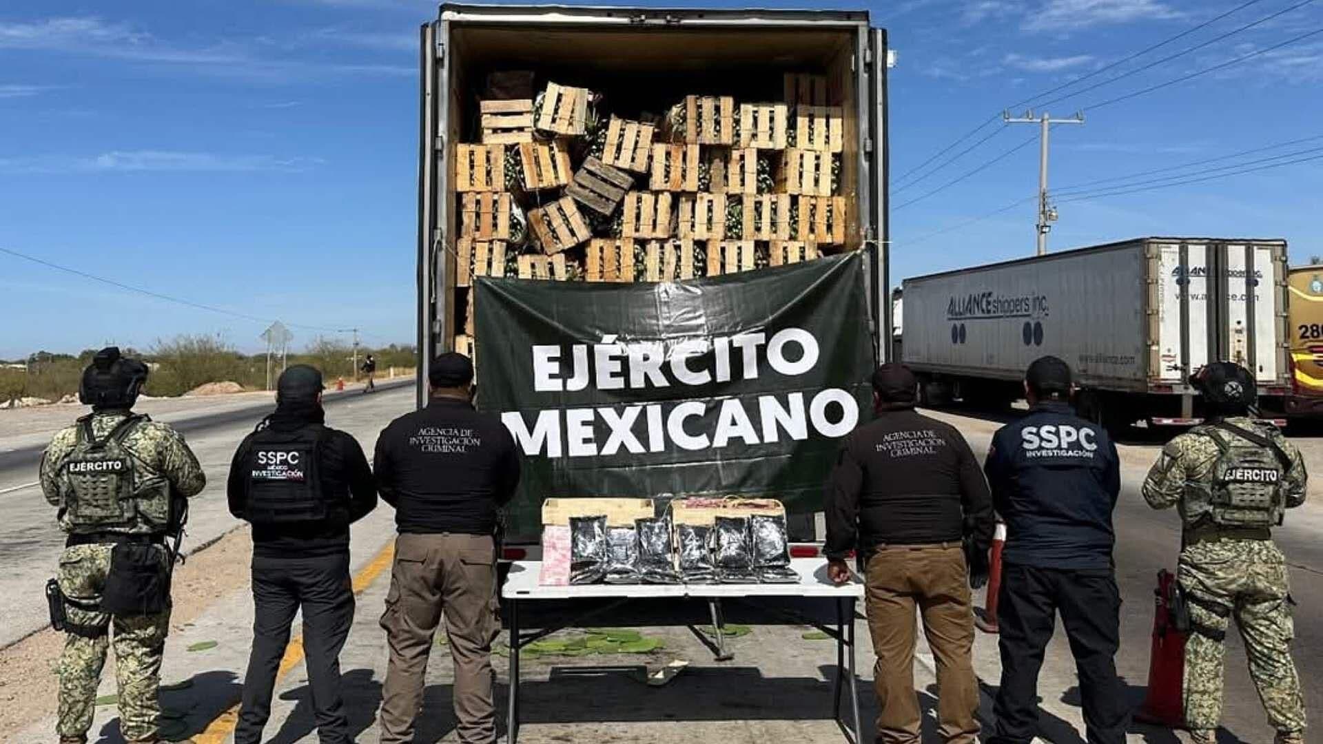 Aseguran Fentanilo en Pastillas y Polvo en Cajas de Nopales en Huatabampo, Sonora