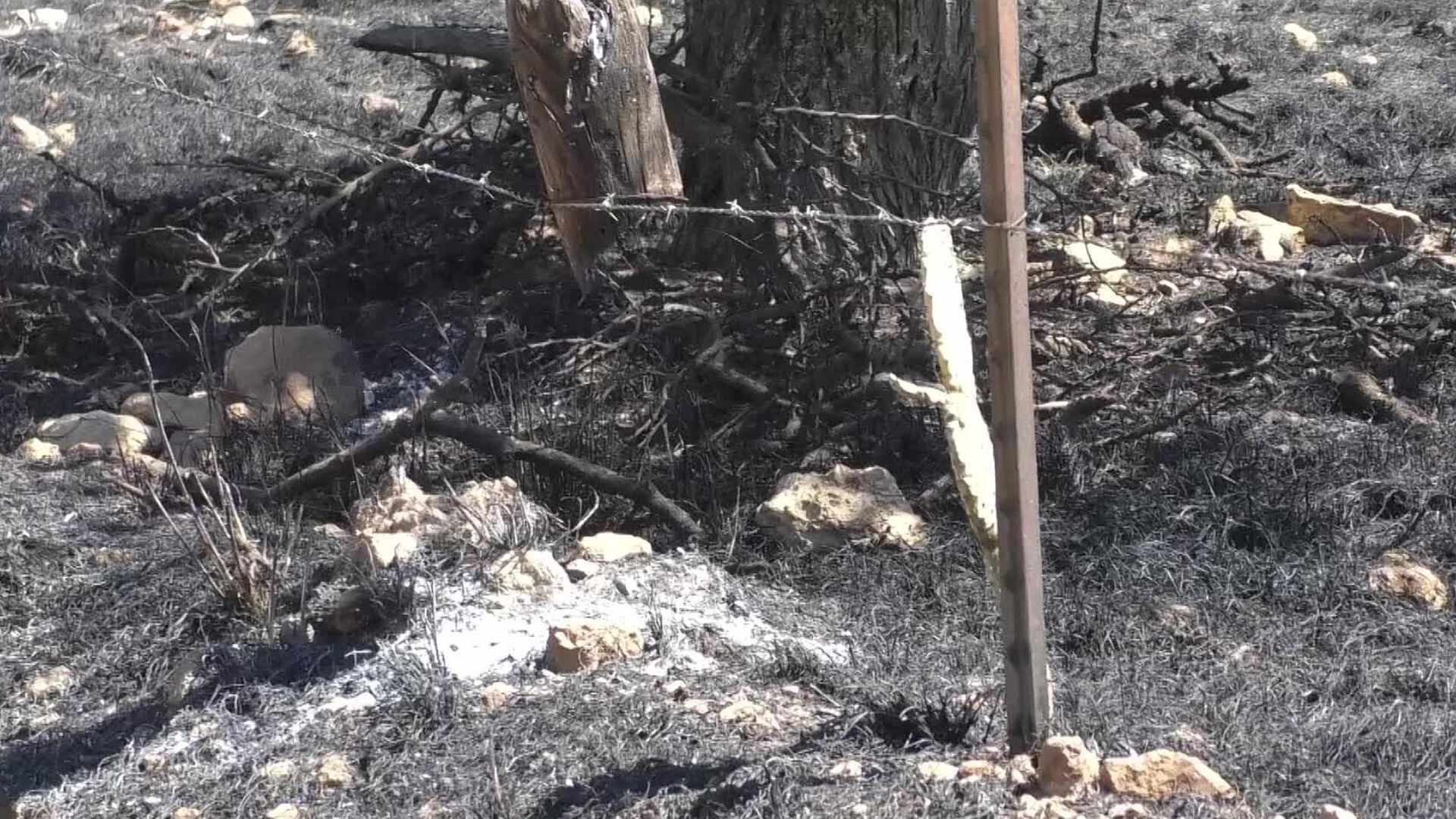 En Luis Moya, Habrá Sanciones Para Quienes Provoquen Incendios Forestales