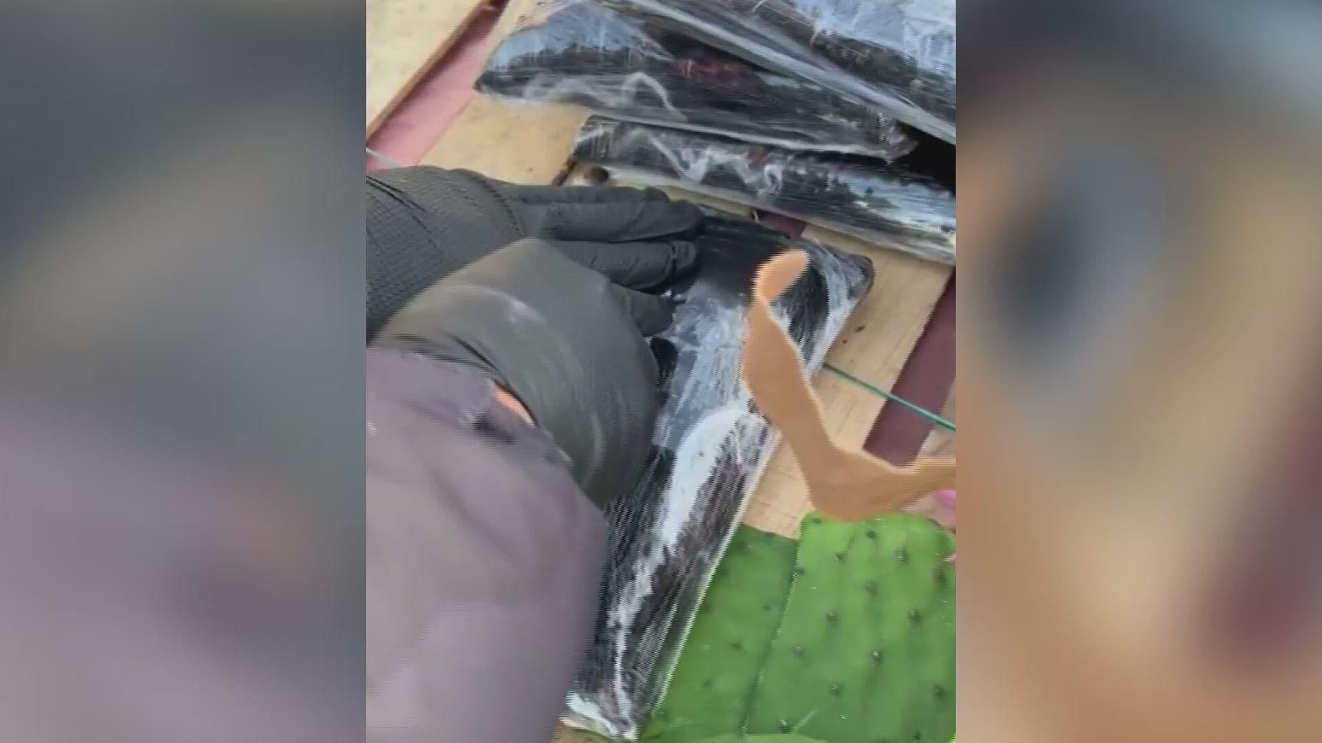 Encuentran Fentanilo Escondido en Cajas de Nopales en Huatabampo, Sonora